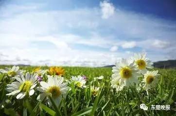 今天高考资讯,黄石市高考最新消息