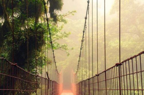 快速成为精英的四大标准,如何快速成为领导心腹的六种方法