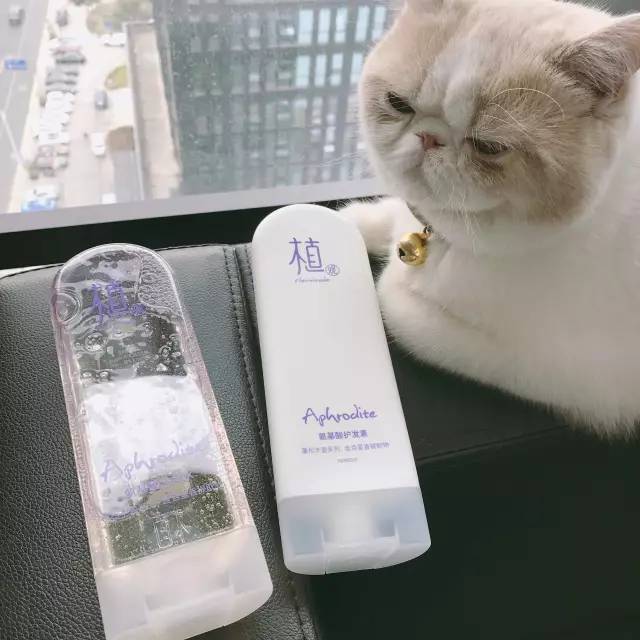 头发很油洗头可以不用洗发水吗,天天洗头发还是很油用什么洗发水