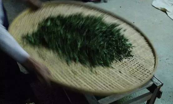 铁观音没有绿叶红边是真的吗,铁观音绿叶红镶边代表品质吗