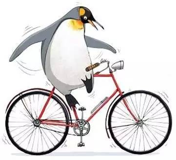 有趣又涨知识的冷科普绘本,儿童必看的自然科普绘本