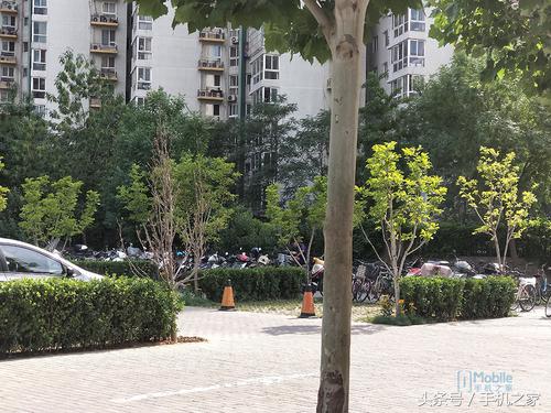 oppor11详细测评,oppor11优缺点详细评测