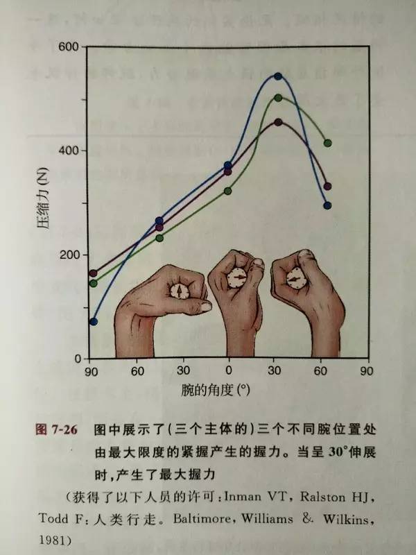 怎么专门锻炼你的小臂，让整条手臂充满力量？