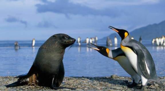 重庆欢乐海底世界儿童节门票,重庆欢乐海底世界海洋馆价格