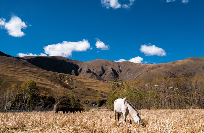 摄影家的天堂新都桥,摄影天堂新都桥攻略
