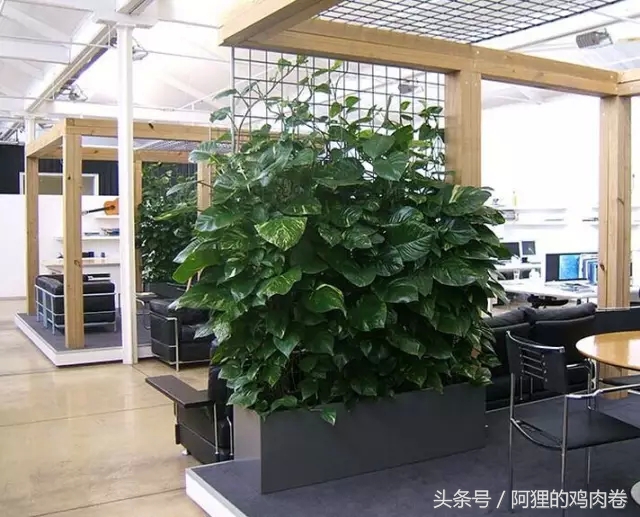 公装和家装什么区别,工装和家装软装的区别