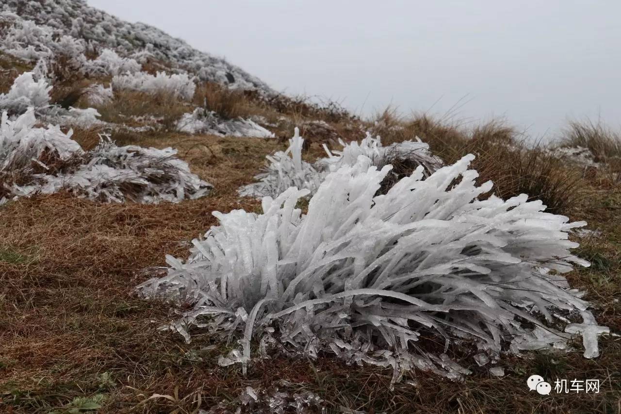 杞﹀弸椋庨噰渚濇棫鍥剧墖,杞﹀弸涓汉椋庨噰闆嗛敠