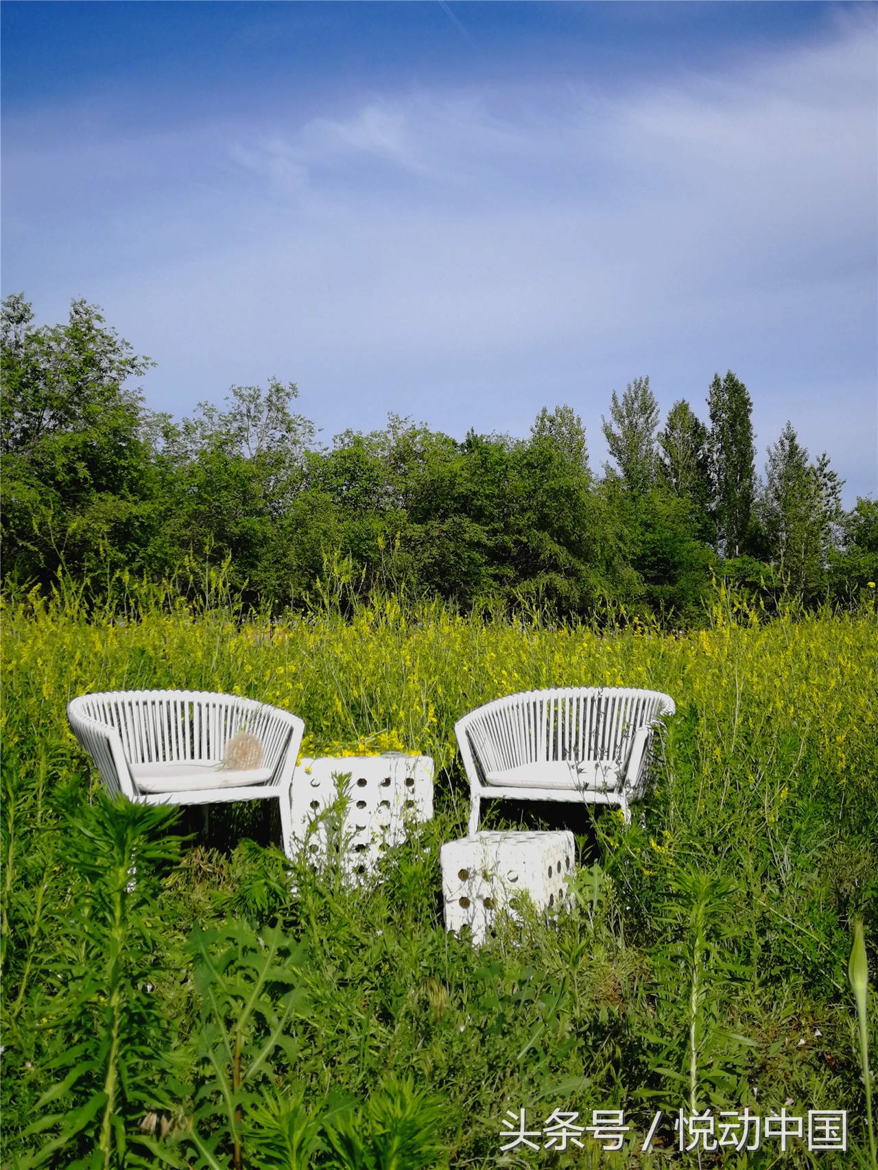 环塔拉力赛全程视频,环塔拉力赛精彩集锦