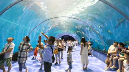 青岛海景花园大酒店春节,青岛市南区海景花园大酒店