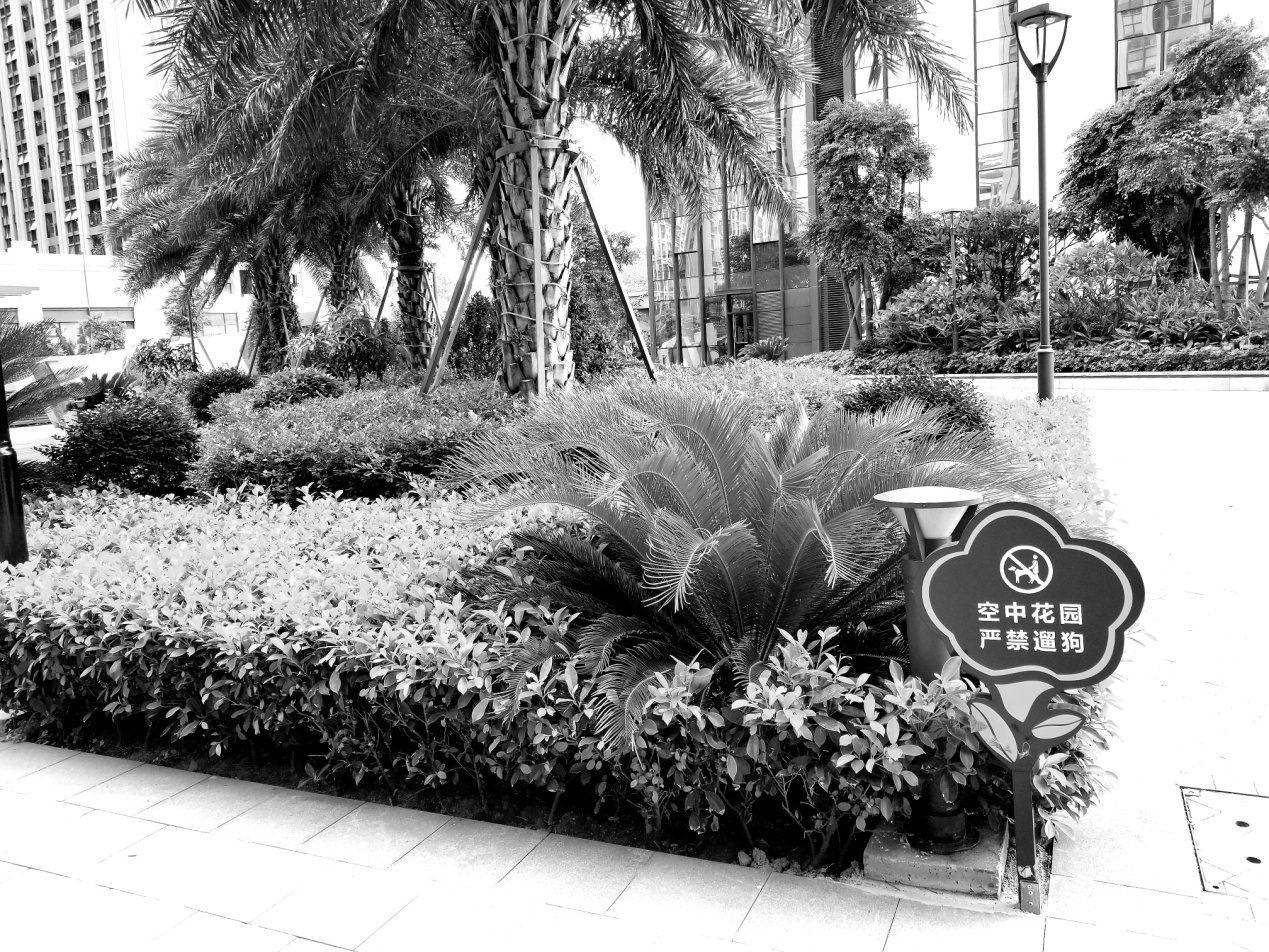 不愧是安卓机皇，三星GalaxyS8+上手一星期体验