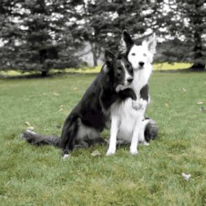 轻松一刻应该怎么做,轻松一刻到底重点在哪里