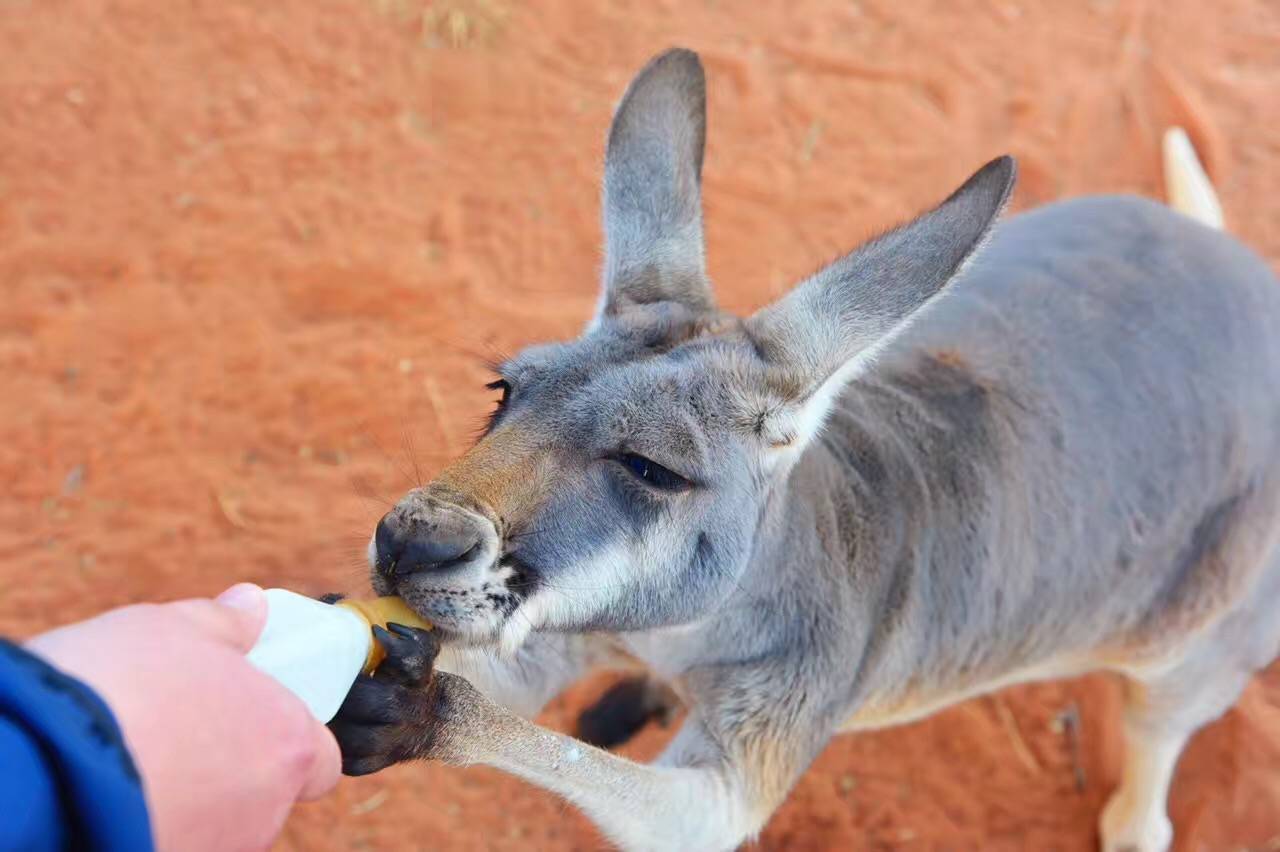 北石：这个由一群流放者建立的国家如今居然这么发达和美丽