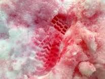 喜马拉雅山红雪,解密喜马拉雅山雪人之谜