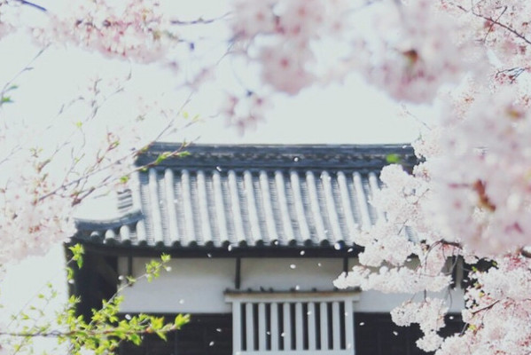 摩羯座和射手座不冷不热,摩羯座对你语气不耐烦