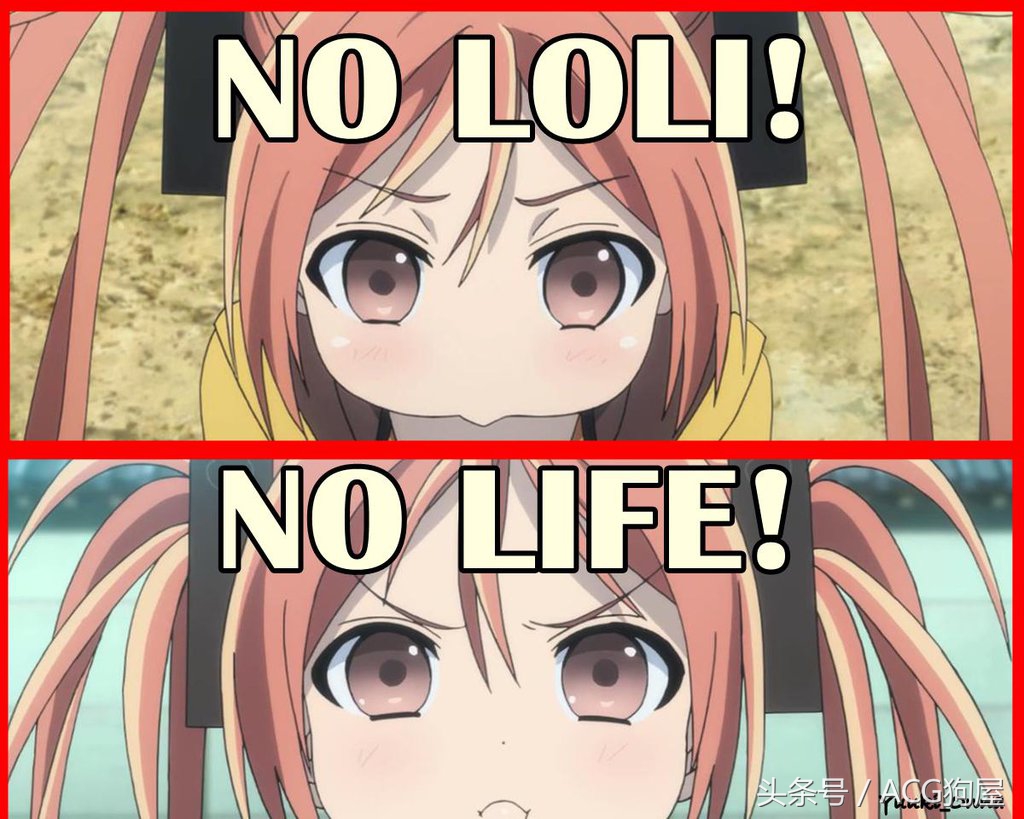 Yesloli！Notouch！美国知名动画up主因猥亵*女幼**被捕入狱