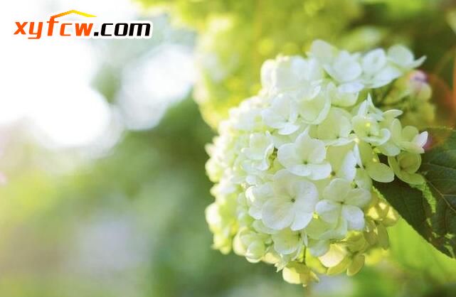 六号公馆歌曲完整版,六号公馆小说