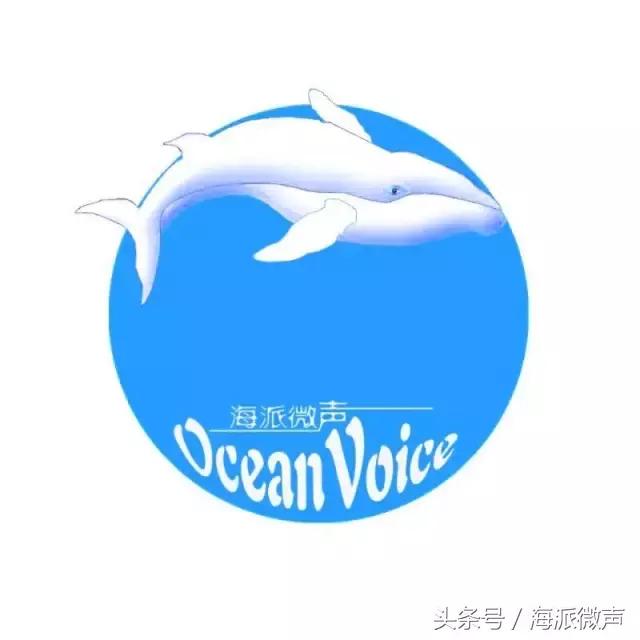 kevin老师留学,kevin马老师谈留学