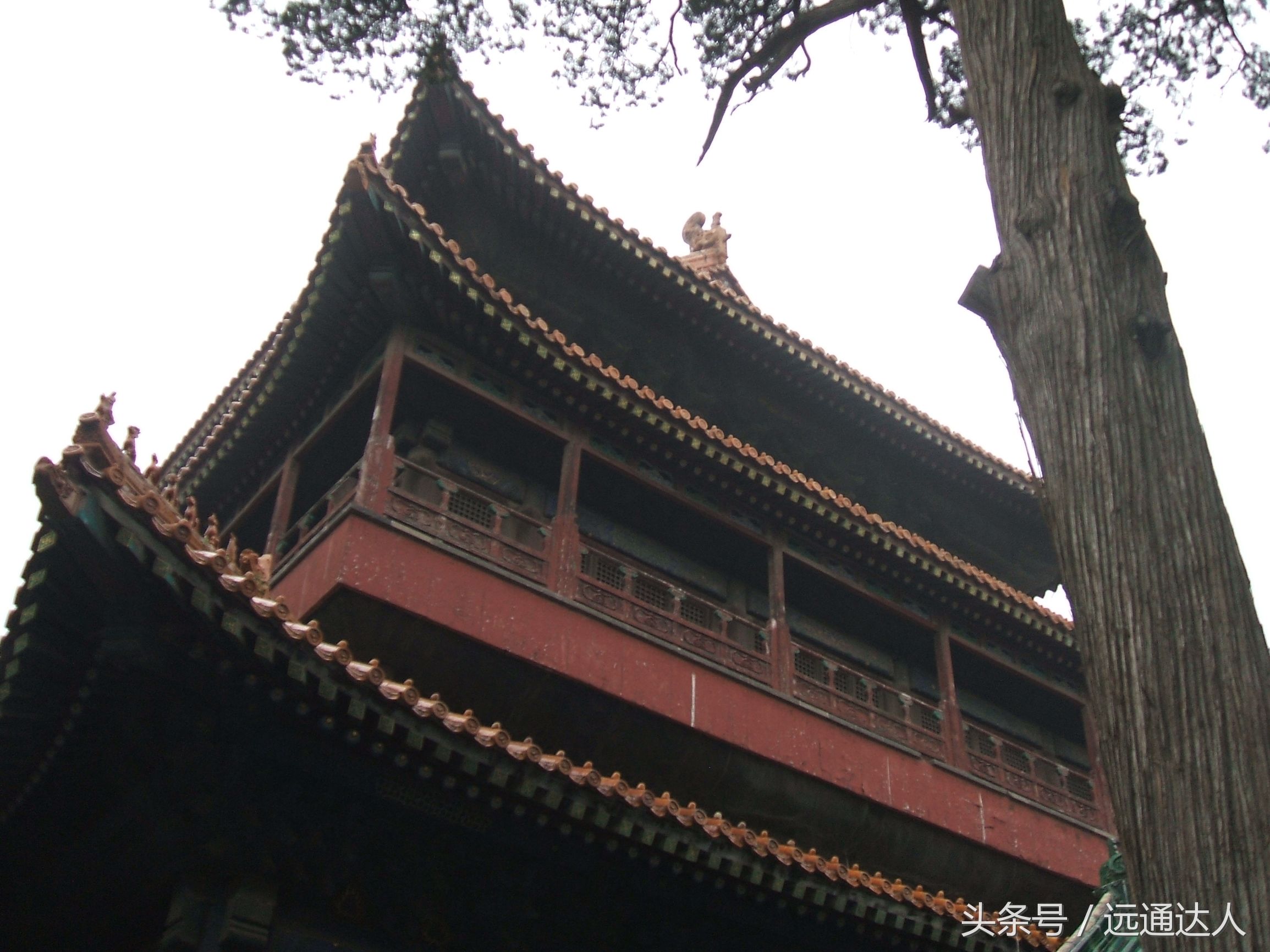 身为泰安人第一次爬泰山,陪爷爷爬泰山感慨朋友圈