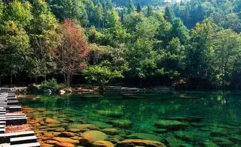 芜湖高考生,安徽芜湖高考生能拿到补贴吗