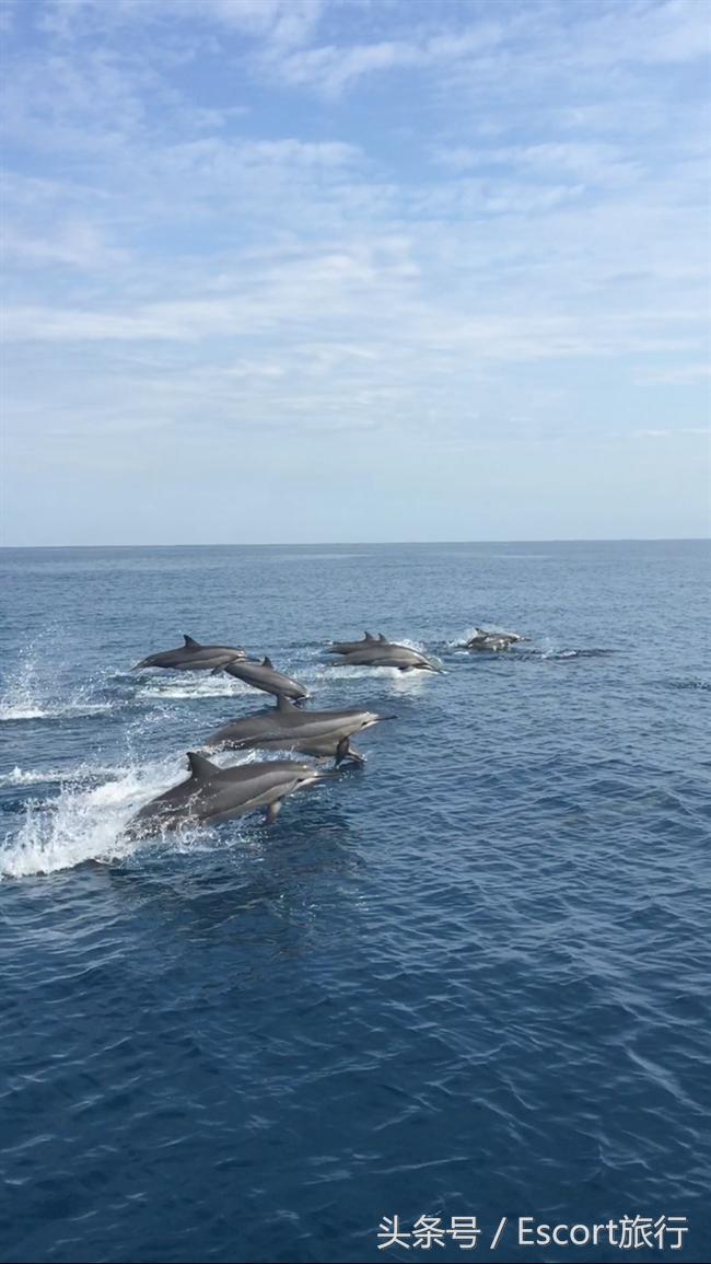 旅游景点攻略毛里求斯,分手大师毛里求斯取景酒店
