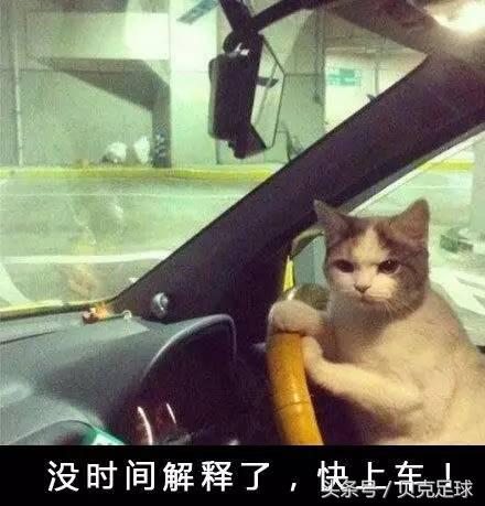 吉尔的生日,吉尔的全部视频