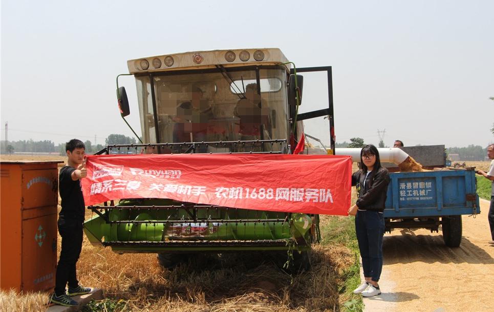 纵横田间，麦收不将就，这款山东“壮汉”收割机就是猛