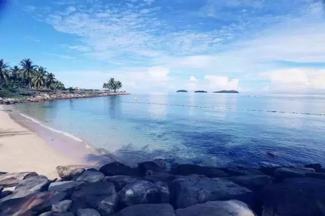 喜大普奔完整版视频,喜大普奔完整视频