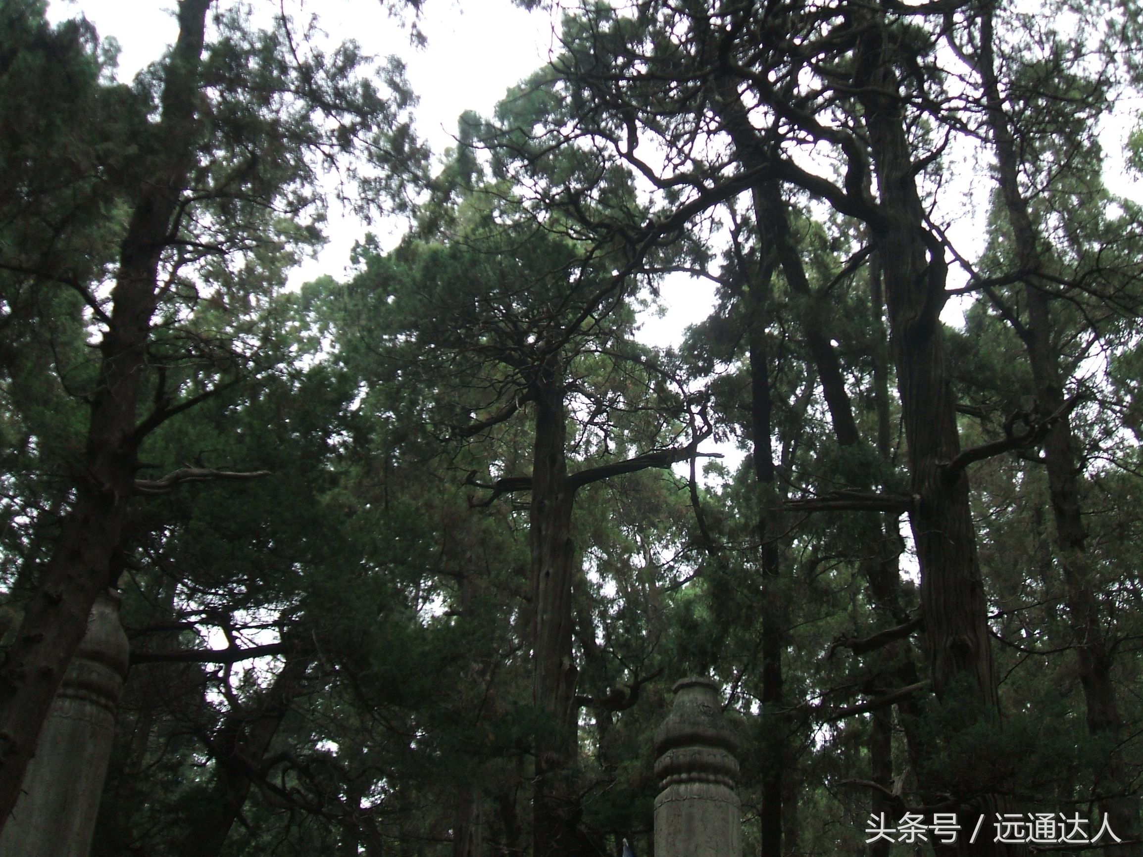 身为泰安人第一次爬泰山,陪爷爷爬泰山感慨朋友圈