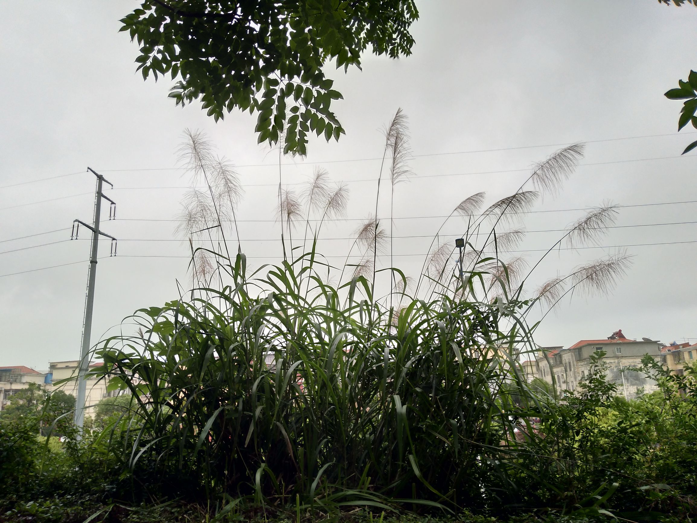 vivox9手机拍照效果图,拍照最好的手机vivox90系列