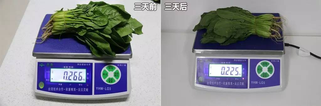 入门冰箱哪种品牌性价比高,入门冰箱推荐
