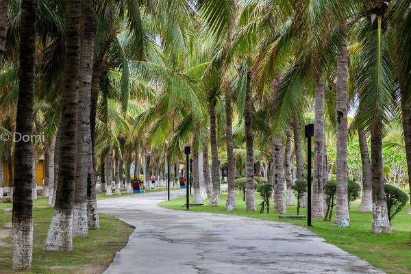 一顿海鲜大餐都有什么,海鲜大餐又便宜又营养又好吃