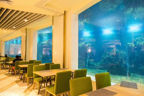 一顿海鲜大餐都有什么,海鲜大餐又便宜又营养又好吃