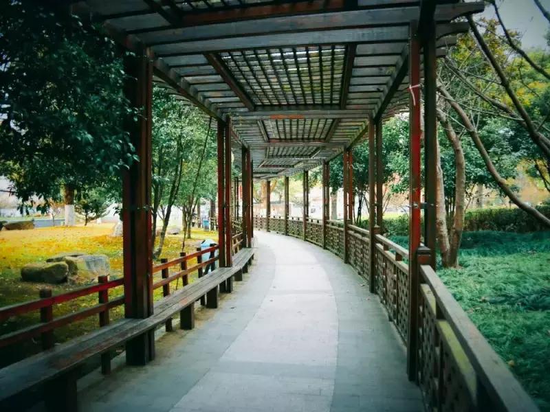 邂逅苏农,苏农视频