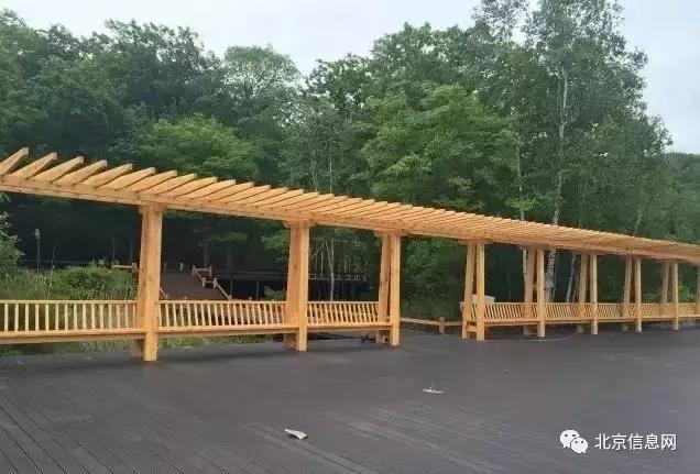 父亲节陪爸爸去玩耍,爸爸和宝贝间的互动父亲节