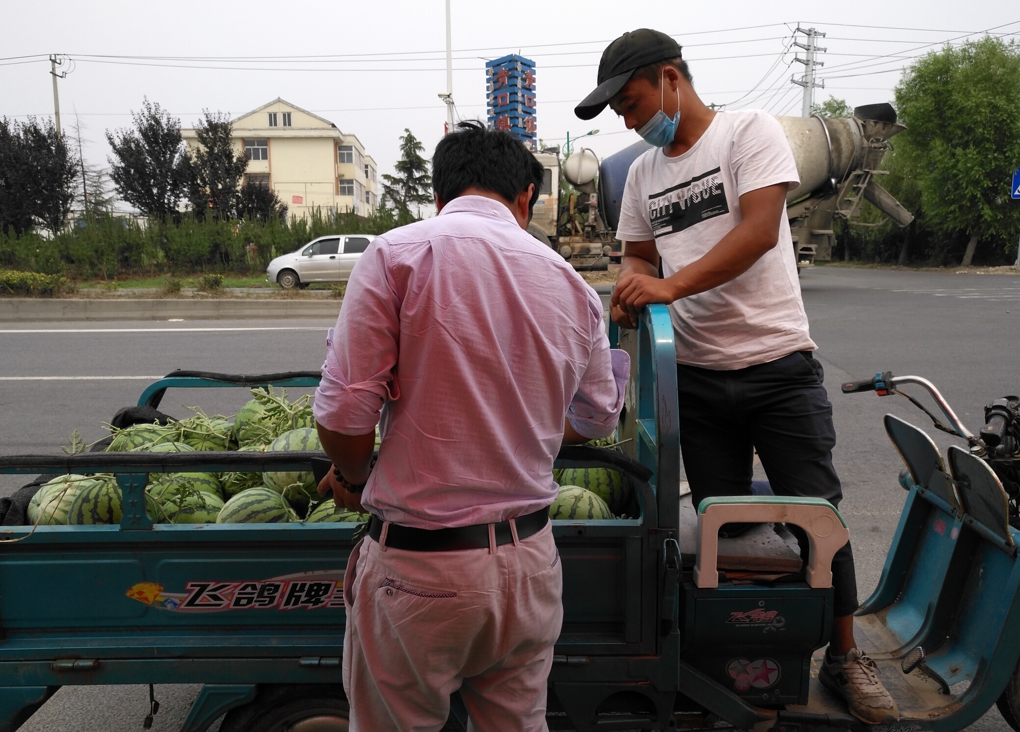 西瓜滞销行情,今年西瓜大概什么时候能便宜