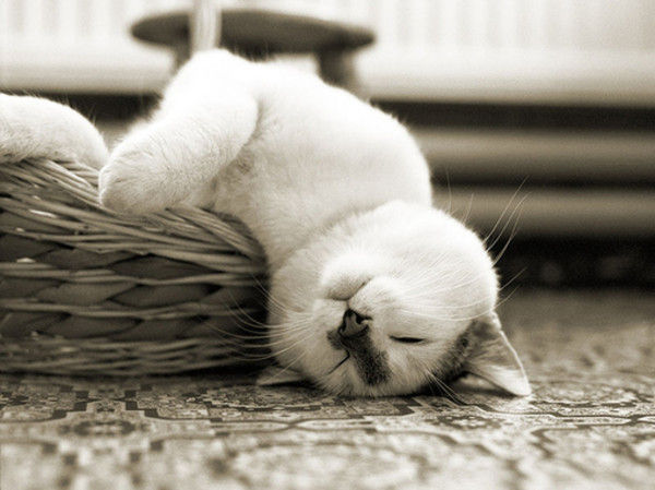 伪文化和劣文化成风这些低俗病改如何治