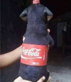 皮肤黑怎么调理能变白,皮肤黑是一种什么样的体验