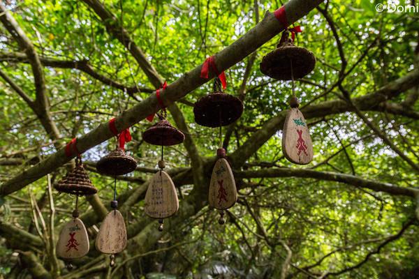 一顿海鲜大餐都有什么,海鲜大餐又便宜又营养又好吃