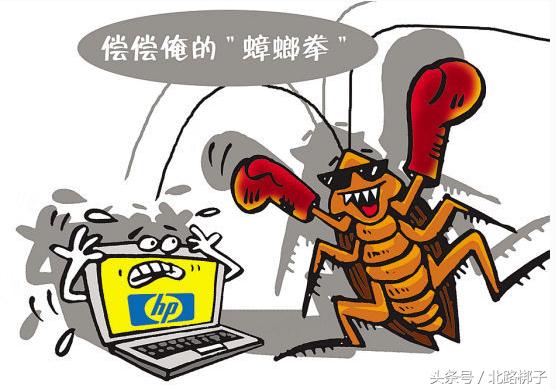 防治蟑螂药物,防治蟑螂最好的药