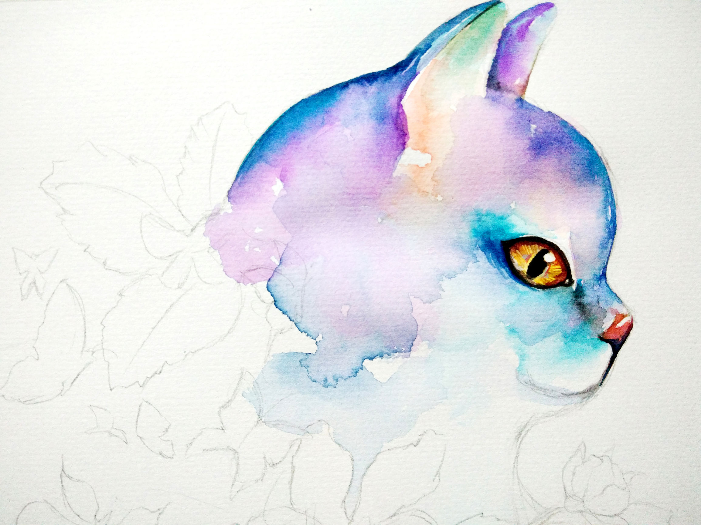 猫咪快速学会的技巧,猫咪快速教学