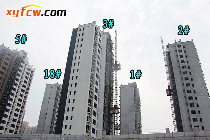 金园世界城二期工程,世界城二期开盘多少钱