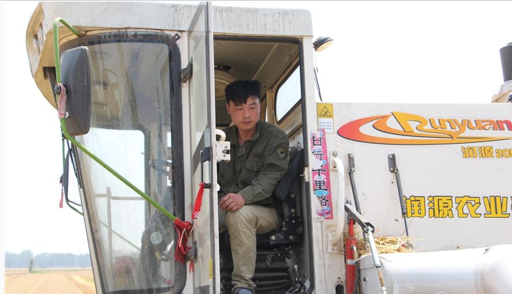 纵横田间，麦收不将就，这款山东“壮汉”收割机就是猛