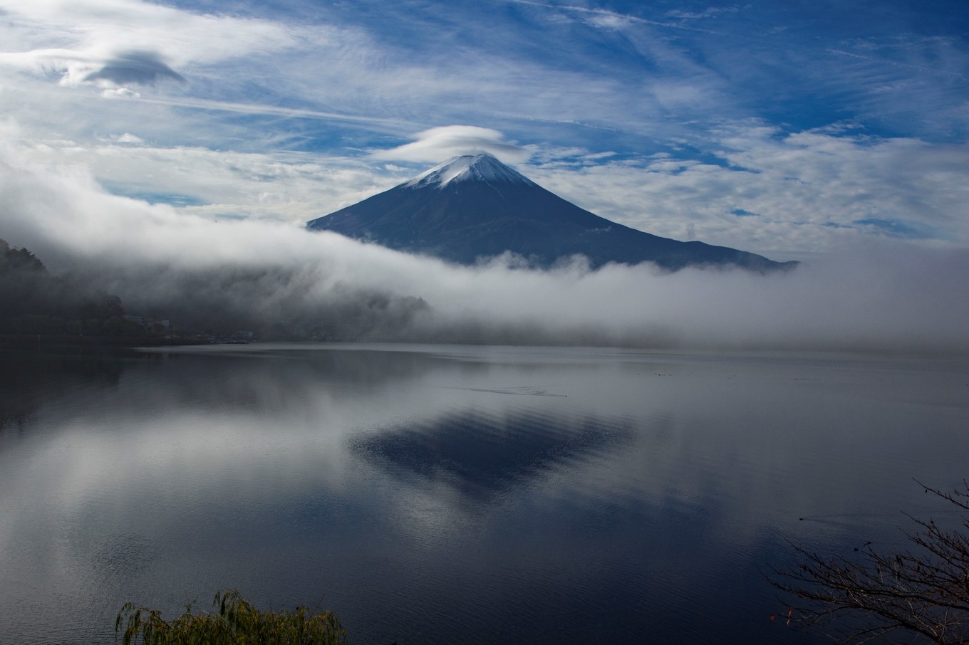 日本物语落樱下的邂逅,浪漫的日本物语