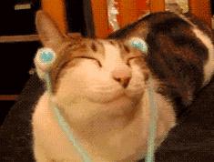 whoo黄金紧致cc霜,whoo黄金套盒