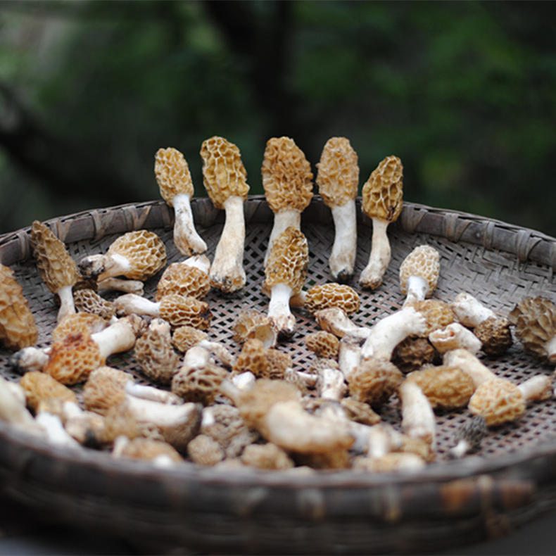 知道了这些你也可以跟澳洲夫妇一样减肥