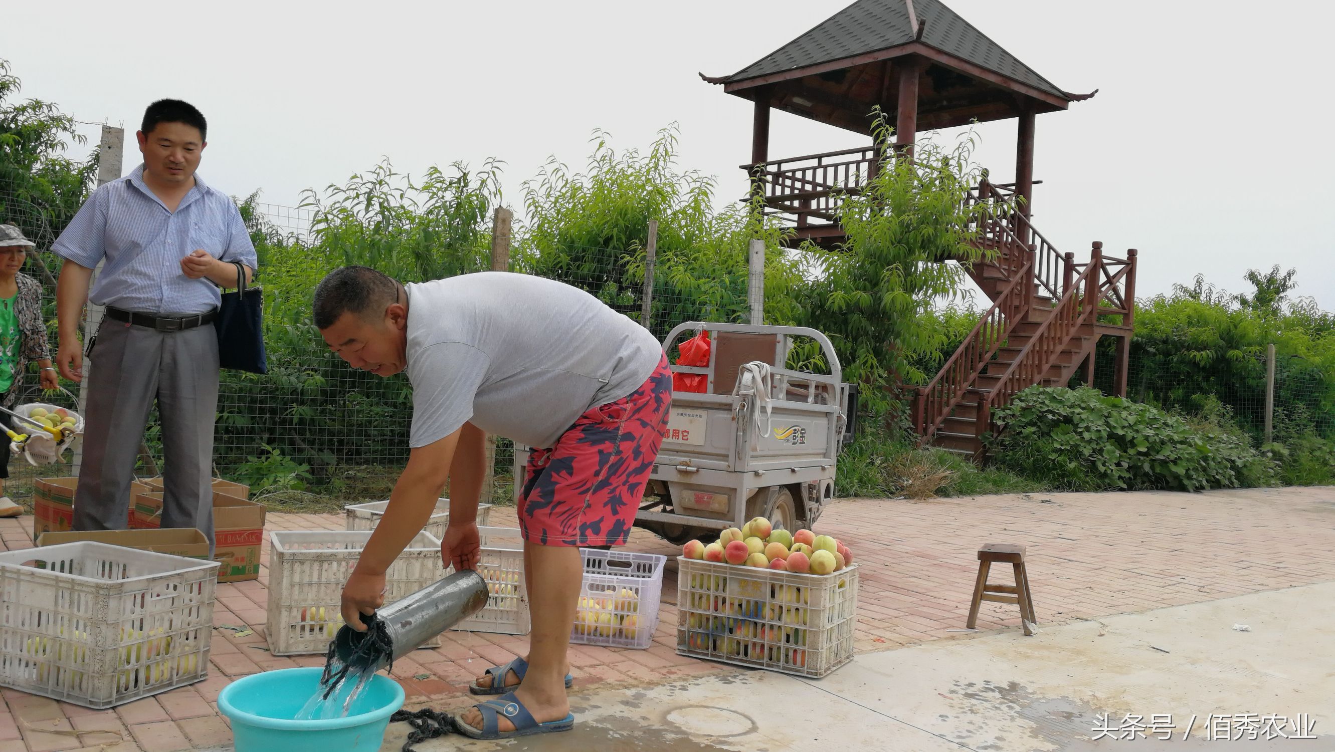 农村人赚钱的方法,农村赚钱三个小技巧