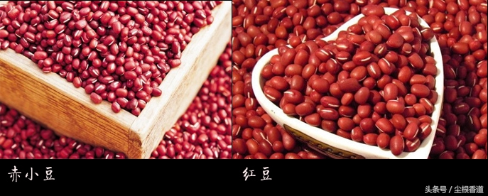 薏米红豆粥怎么煮才能祛湿气呢,红豆薏米粥怎么煮祛湿效果最好