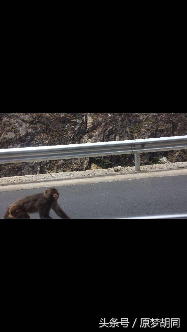 西藏之旅到达拉萨,去拉萨12天之行