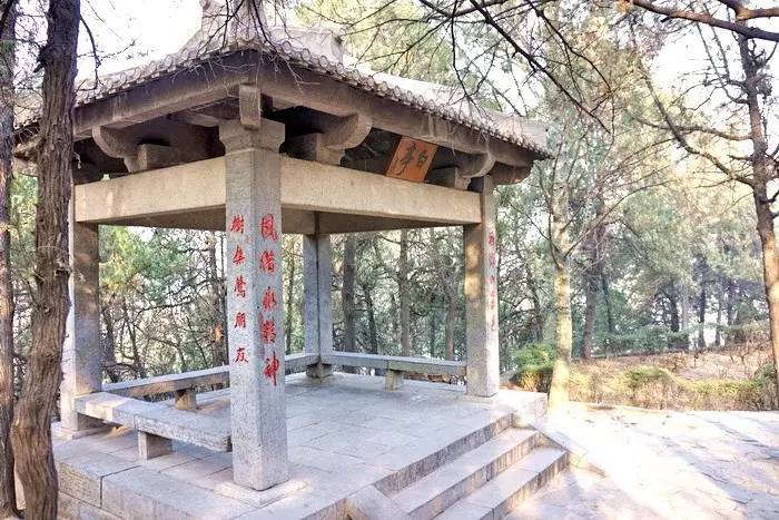 在天愿作比翼鸟是白居易的什么诗,在天愿作比翼鸟白居易感情