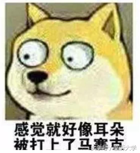 四六级裸考需要注意些什么,四六级裸考过的可能性